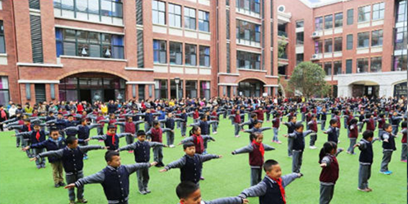 綠蛙成功落戶于樂灣國際實(shí)驗(yàn)小學(xué)多功能廳